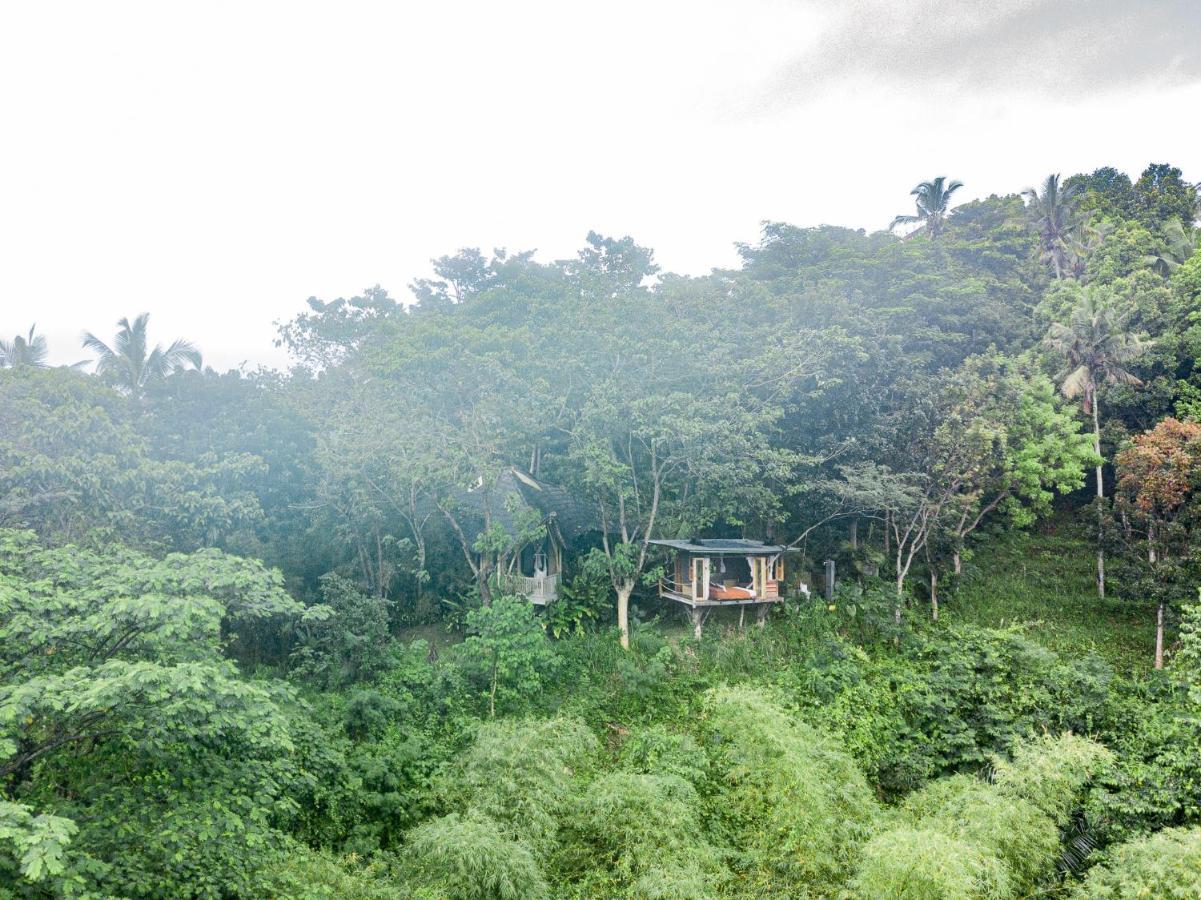 Bird Hills Bamboo House Villa Karangasem Kültér fotó